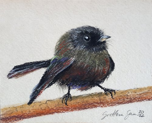 Black bird - Animal portrait /  ORIGINAL SOFT PASTEL DRAWING by Salana Art Gallery