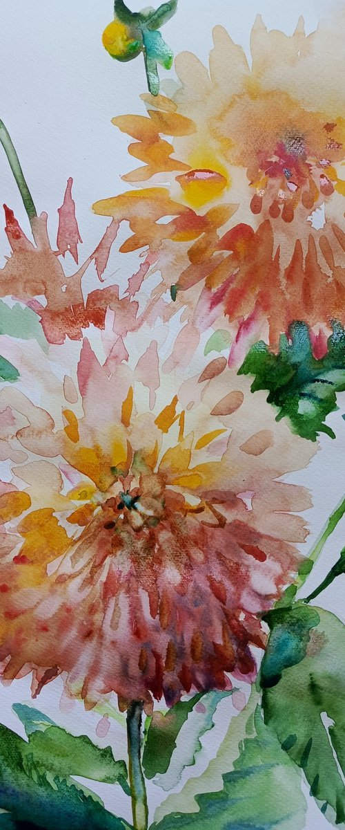 Dahlia/Garden by Oxana Raduga
