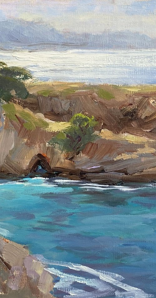 View From China Cove, Point Lobos by Tatyana Fogarty