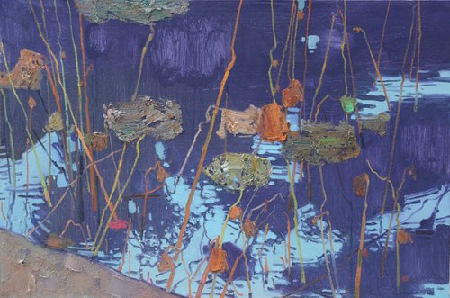 Waterlilies in pond 187 by jianzhe chon