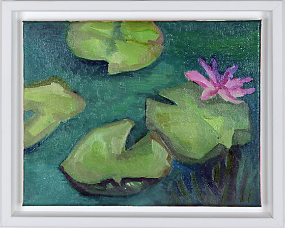 water lilies / Seerosen
