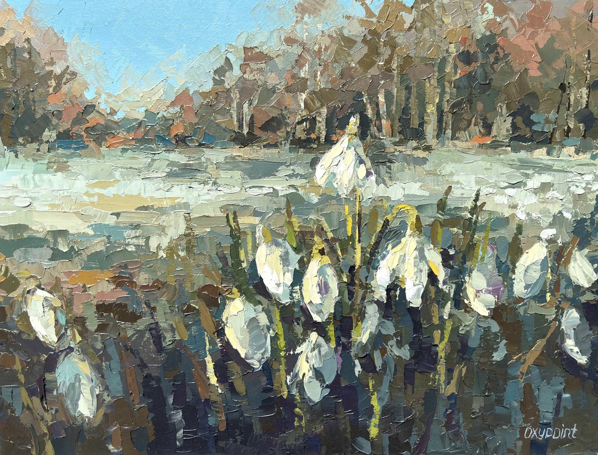 Snowdrops By Oxypoint, 16 X 12, Artwork For Sale On Artfinder