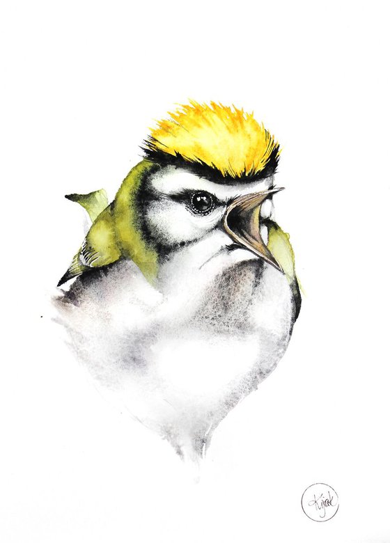 Firecrest 21x30cm, birds, wildlife and animals watercolours