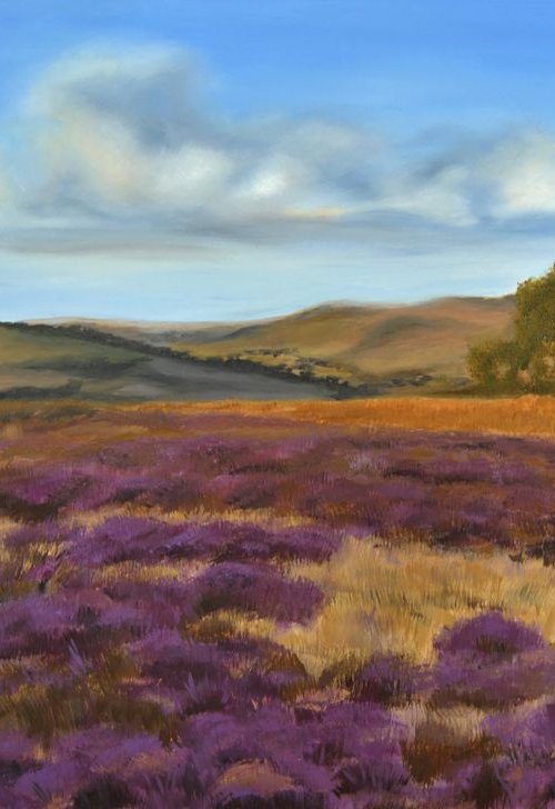 Lavender field 3 by Simona Tsvetkova