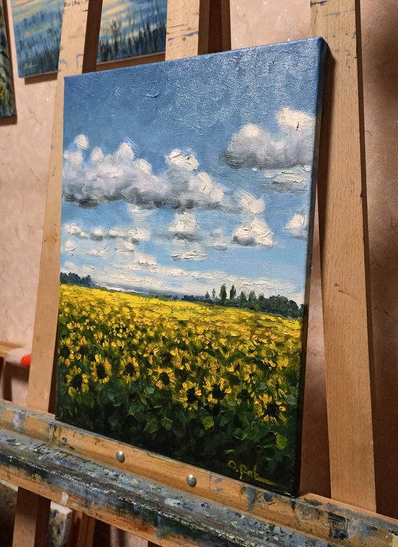 Sunflower field