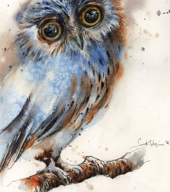 The Owl