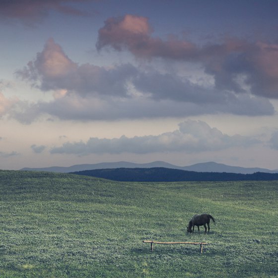 On the high meadow.