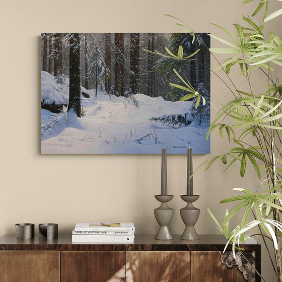Winter in the spruce forest