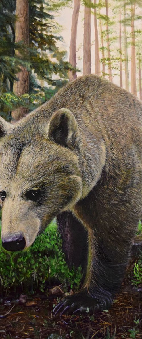 SALE - "Bear" 100 X 100 cm Ready to Hang. (Video on "Me at work") by Elena Adele Dmitrenko