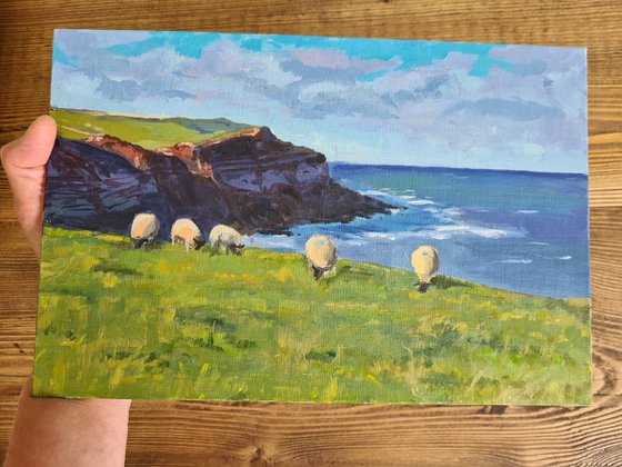 Sheep grazing on coastal cliffs