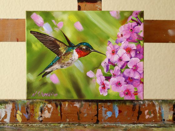 Hummingbird and Pink Blossoms