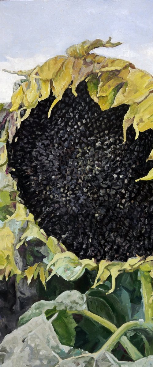 Seeds for the Future Harvest by Anatolii Varvarov