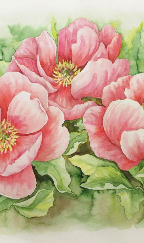 Pink peonies by Julia Gogol