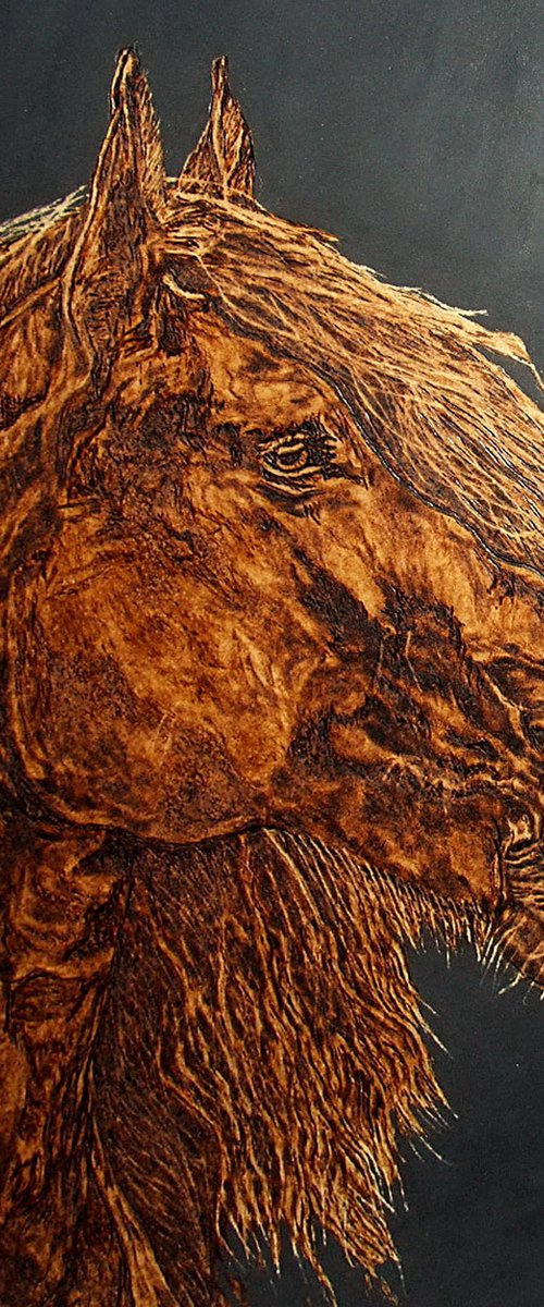 Horse by MILIS Pyrography