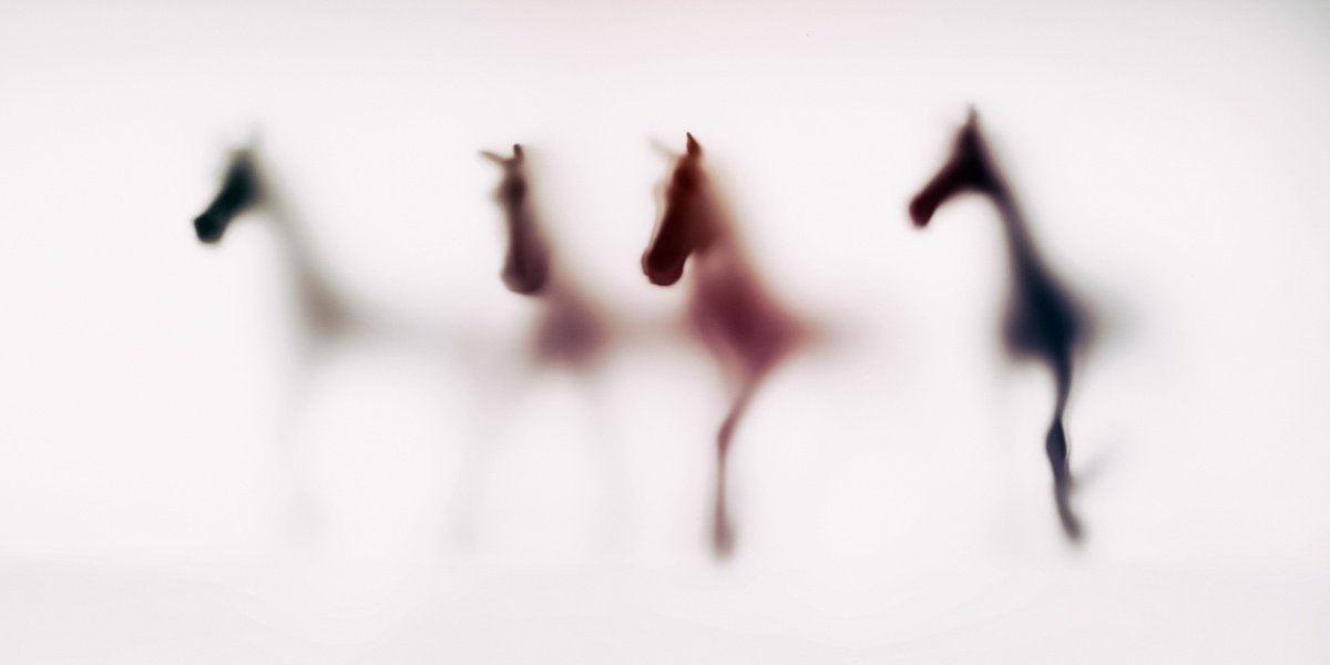 Abstract Animal Photograph By Sven Pfrommer, 55 X 28", Wild Lens - Horses X, Original Artwork
