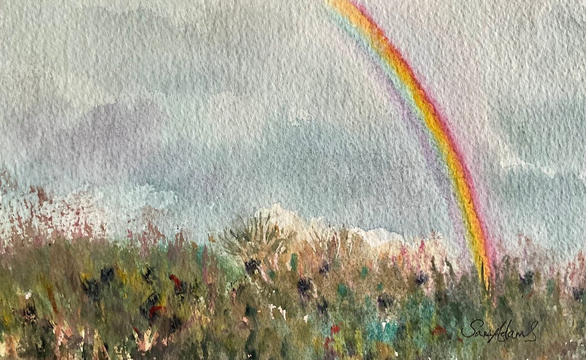 Rainbow over the hedgerow by Samantha Adams