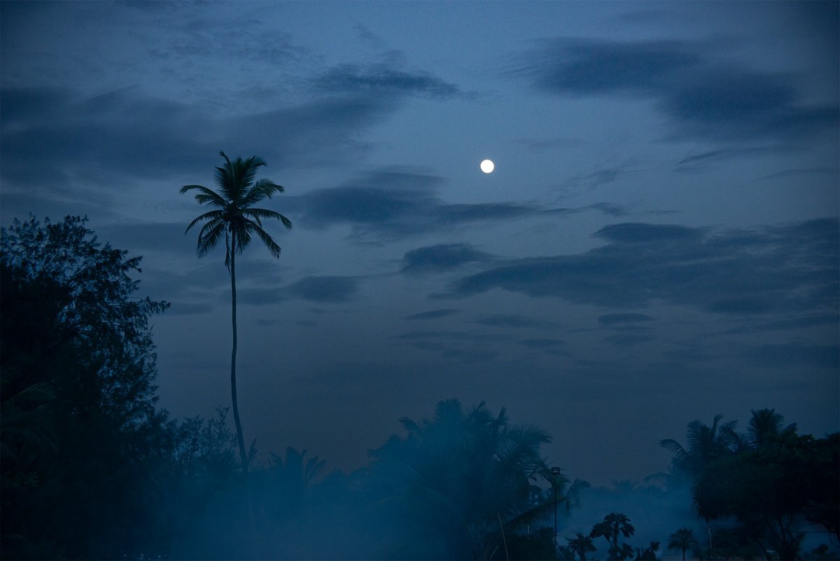 Moonrise in Majorda by Adam Regan