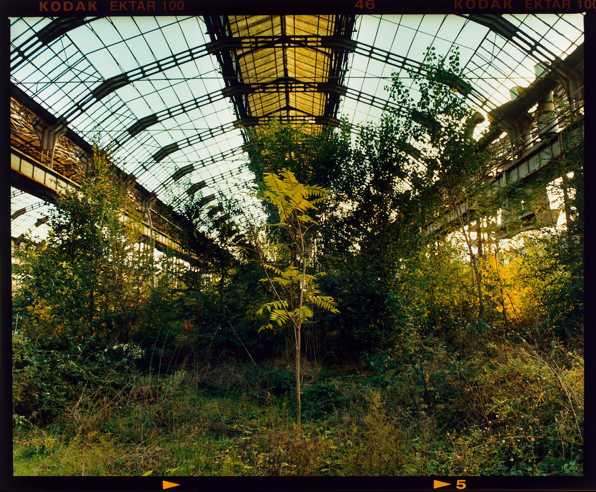 Industrial Jungle, Lambrate, Milan by Richard Heeps
