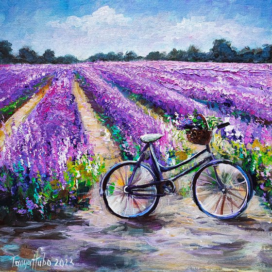 Bicycle on the lavender field