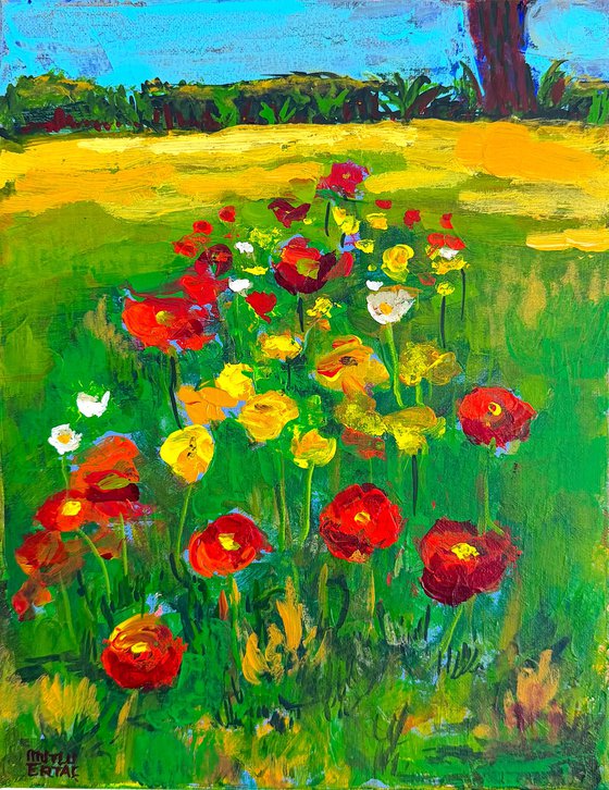 Wild Poppies in the High Grass