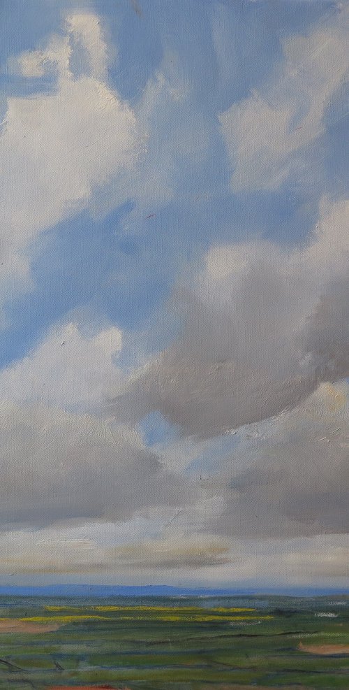 Yorkshire Wolds, May 2 by Malcolm Ludvigsen