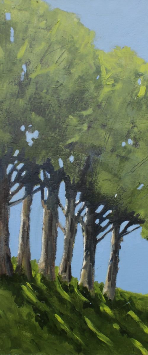 6 Trees by John Halliday