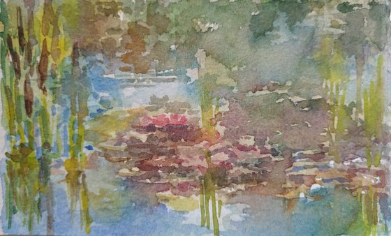 Water lilies. Sketch #2. Original watercolour painting.