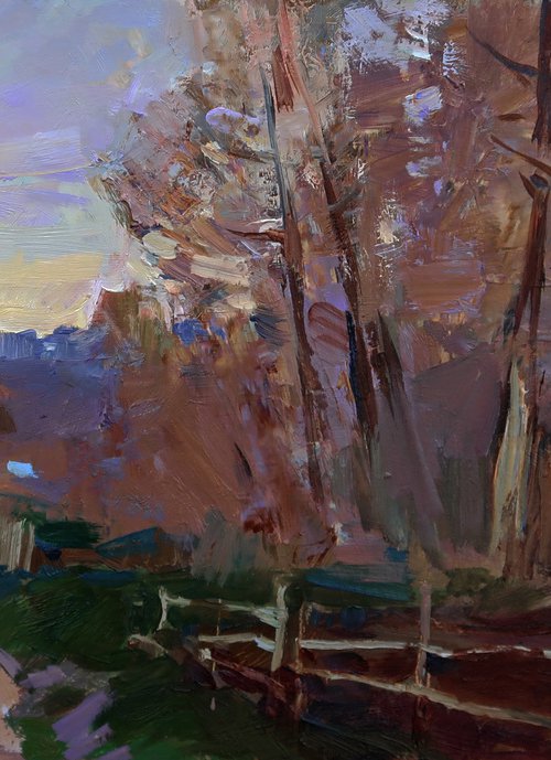 The outskirts of the village by Aleksandr  Kryushyn