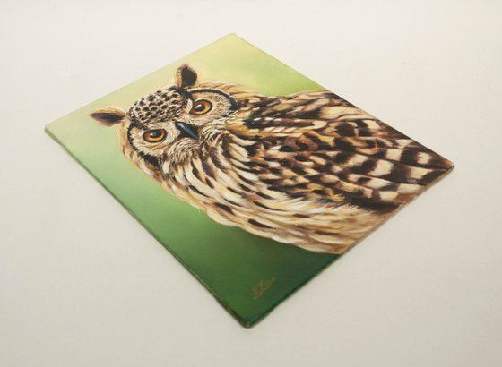 "Eyes of Fire" — Eurasian Eagle-Owl Portrait