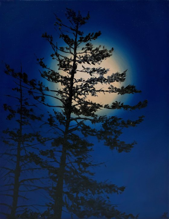 Nocturnal Pines (reserved for Anna)