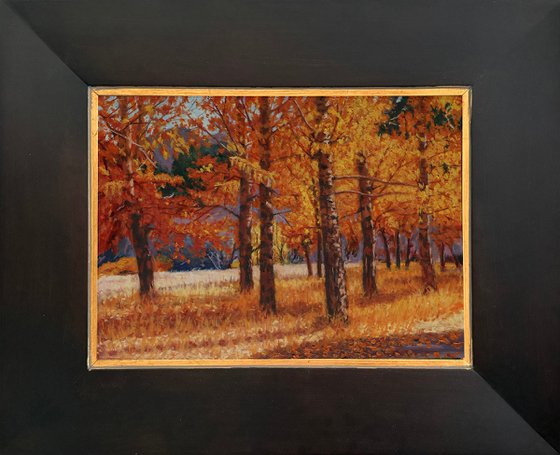 A Symphony of Autumn Aspens