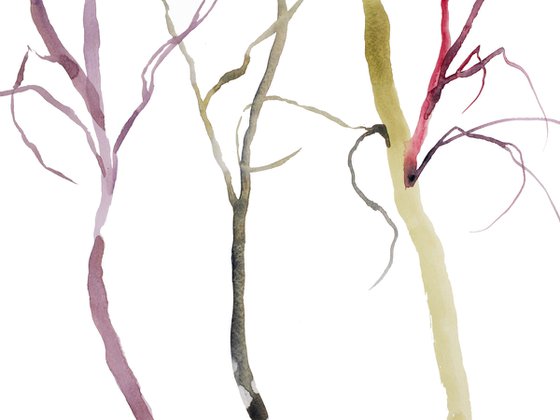 Tree Study No. 37