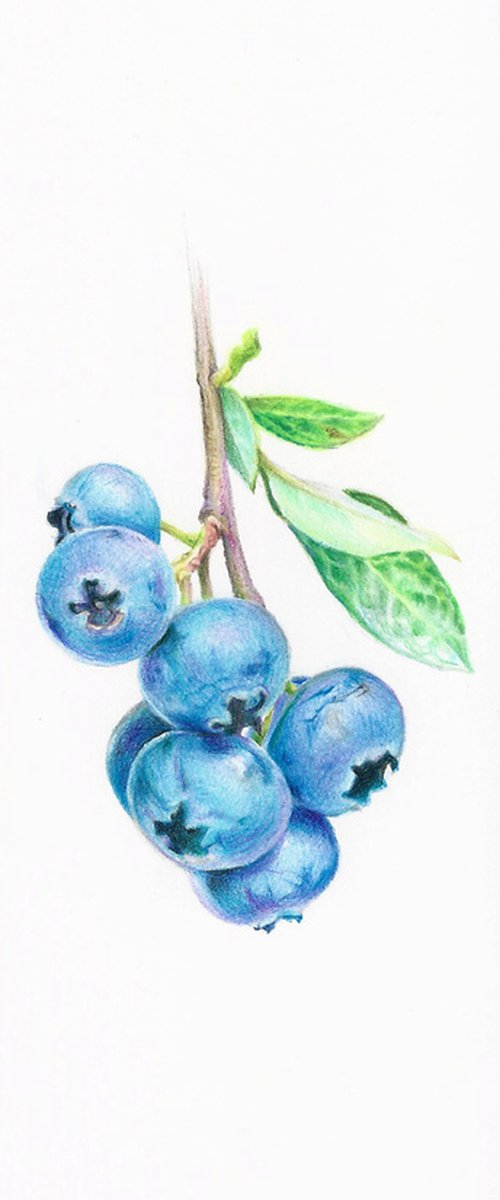 My Wild Berries as Bookmarks - The Blackcurrant by Katya Santoro