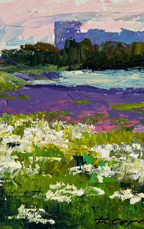 Meadows of Growing Flowers by Boris Serdyuk