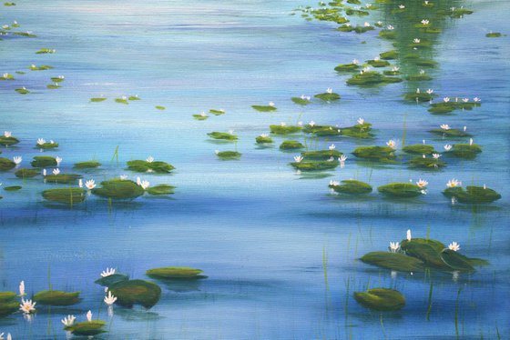 Serene lily pond 2
