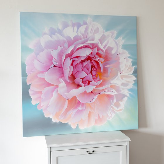 Spring peony