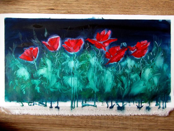 Poppies at night