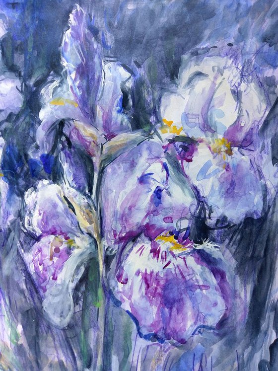 Flower power - Nighttime Irises #5