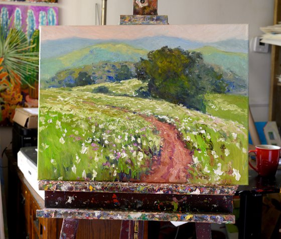 Meadow in the Summer