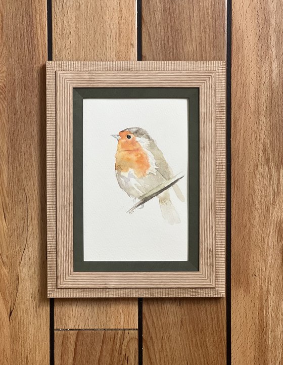 Little Robin Redbreast