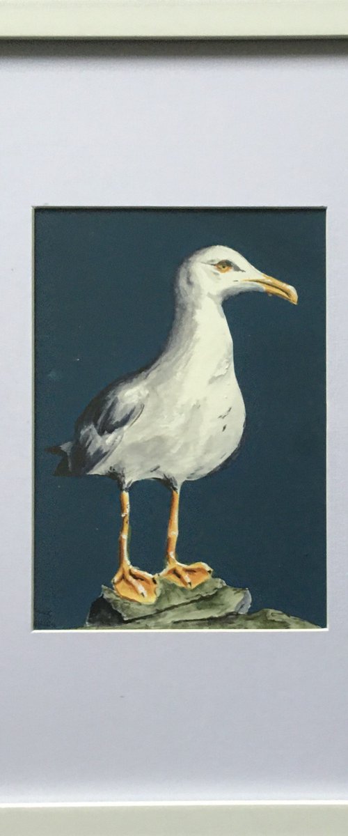 Standing Gull on Clifftop by Laurence Wheeler