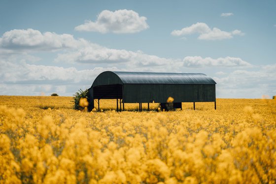 The Dutch Barn
