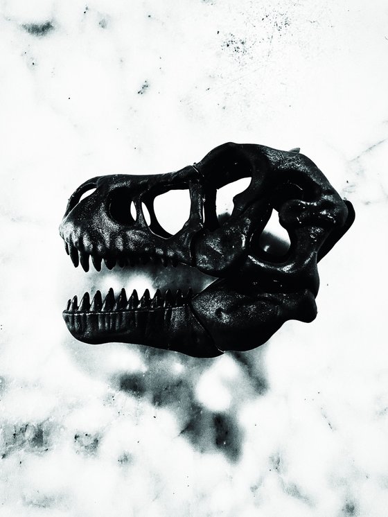 ABC#207 T-Rex #7