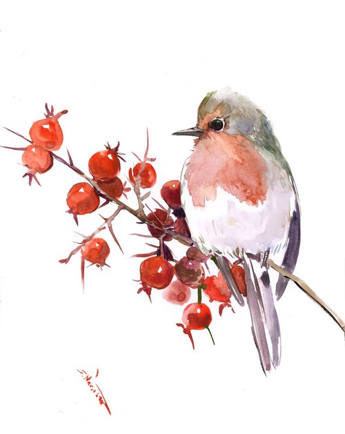 Robin Bird by Suren Nersisyan