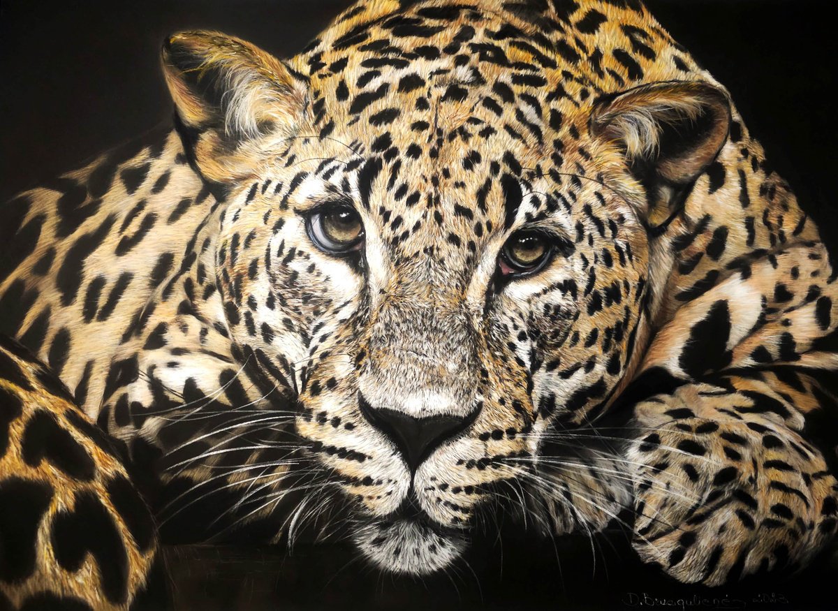 Photorealistic Animal Pastel Drawing By Deimante Bruzguliene, 28 X 20, ,, Just Waiting , Original Artwork