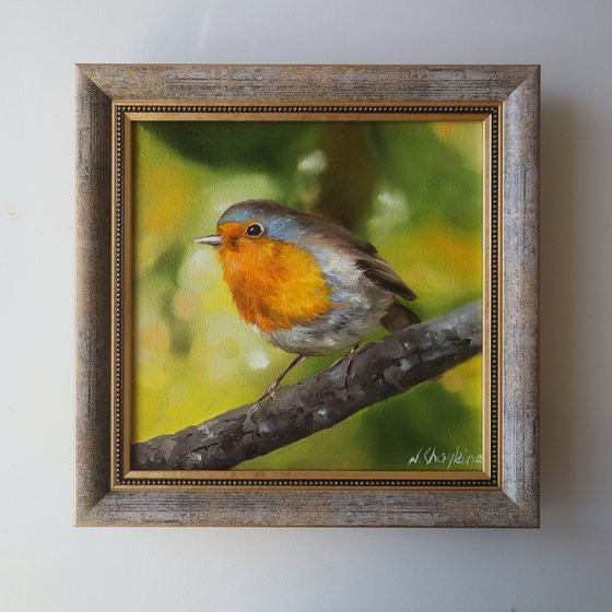 Robin Bird Painting