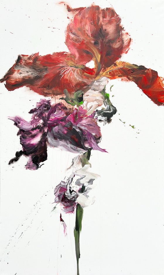 Iris flower 1