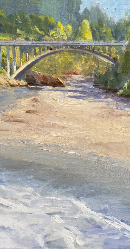 Jug Handle Park, Mendocino by Tatyana Fogarty