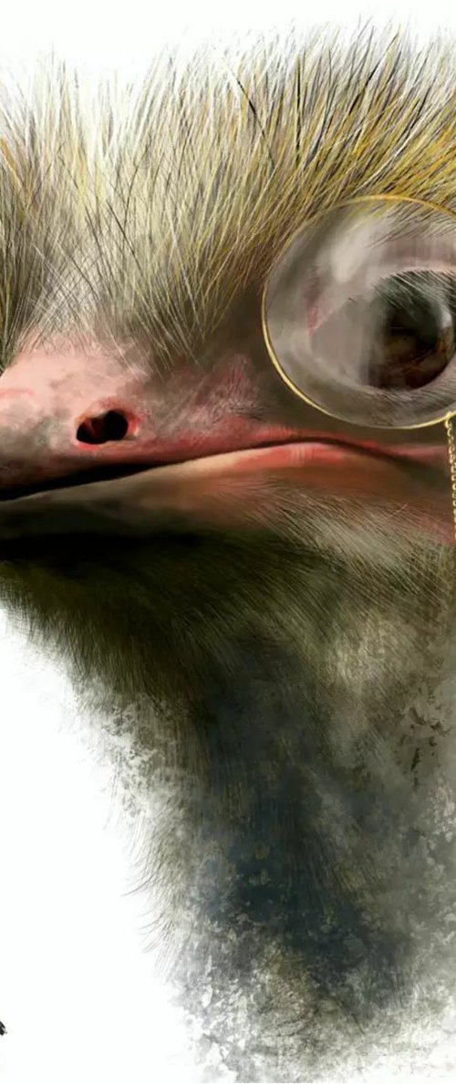 Monocle Ostrich by Nevena Kostić