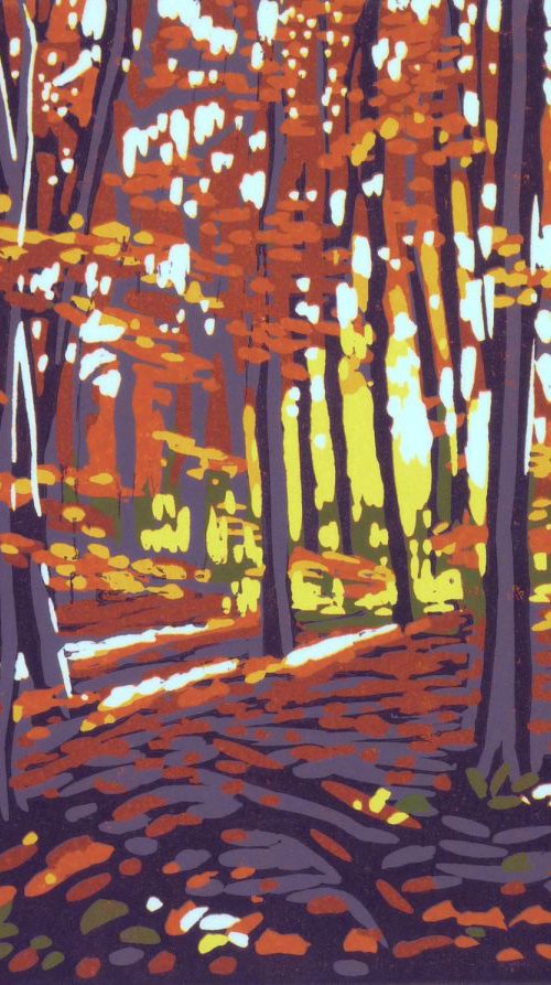 Stoke Wood in Autumn by Alexandra Buckle